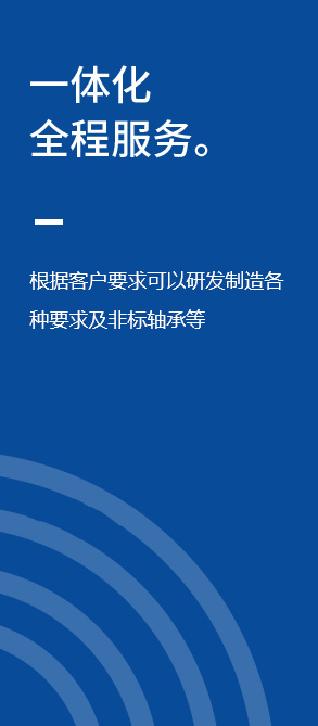 洛阳贝林工业科技有限公司